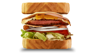Sandwich Burguer